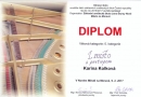 Diplom Kolková0001