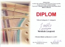 Diplom Loupová0001
