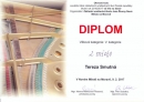 Diplom Smutná0001