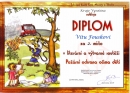 Diplom - SDH0001
