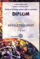Diplom 20001_copy_copy