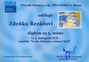 Diplom 40001_copy_copy