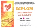 Diplom OKRES_DUO