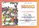 Diplom výtvarka0001